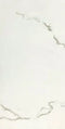 Sahara White 12X24 Wall And Floor Tile